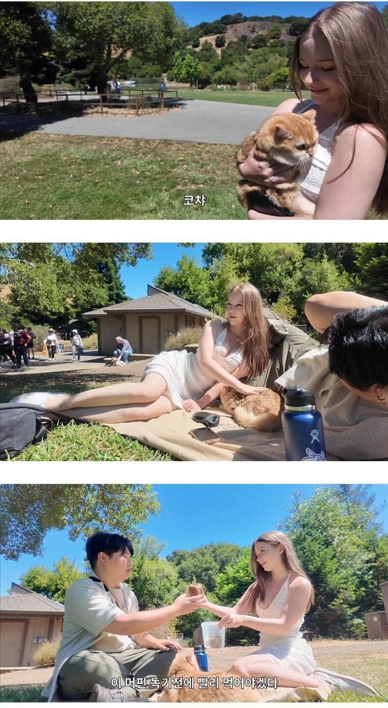 악플 세례 받고 있다는 영상.jpg_1.jpg