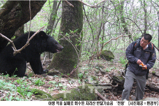 현실적인 반달곰방어로는 어떤 도구라고봄?_3.jpg