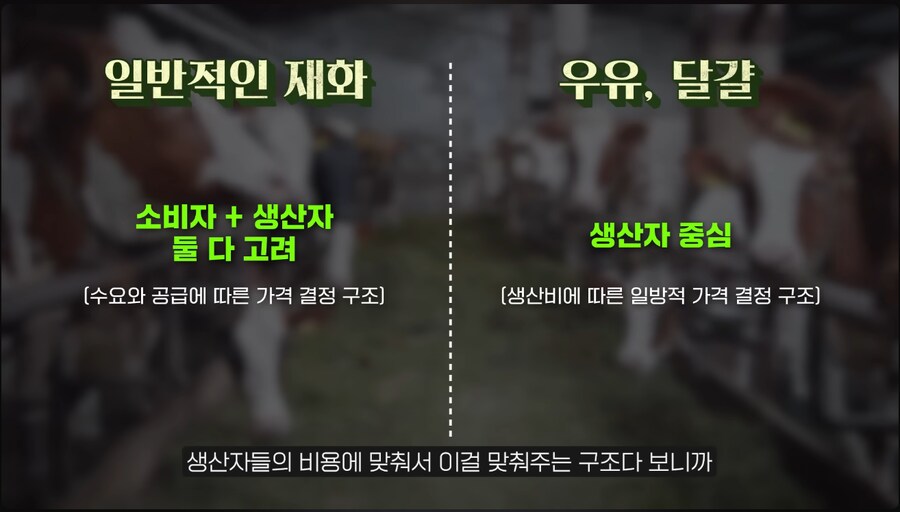 우리나라 빵값이 비싼이유는 종합적임._1.png