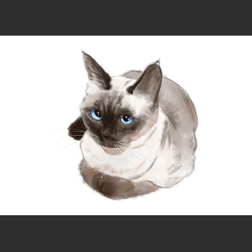 고양이) 넘으집 고양이_1.png