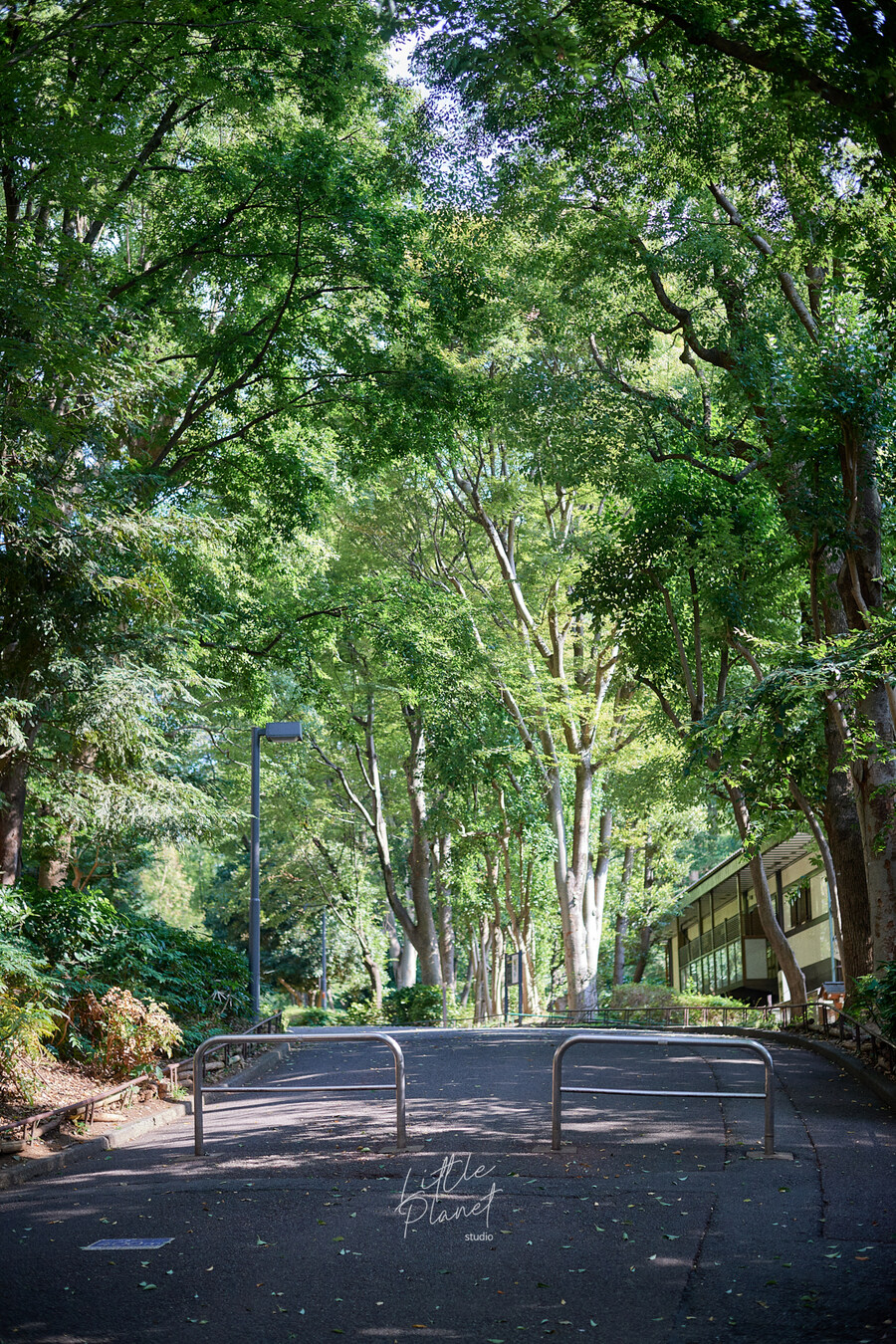 첫 일본, 한 여름의 도쿄 나들이 (스압)_10.jpg