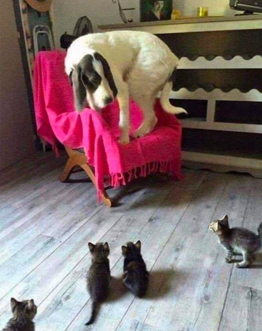으읏 시러어_1.jpg