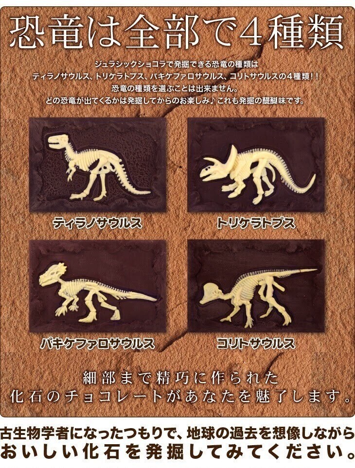 화석 발굴 컨셉 초콜릿.jpg_1.jpg