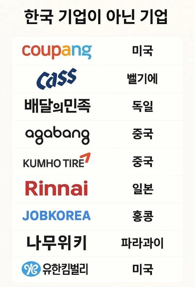한국 기업이 아닌 기업.jpg_1.jpg