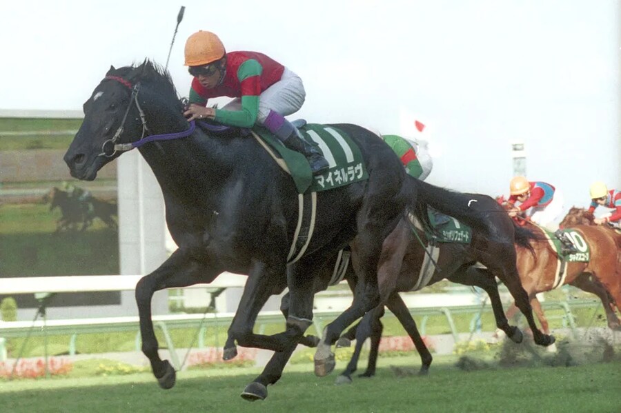 공식 말딸화 해줬으면 하는 경주마 TOP 30_11.png