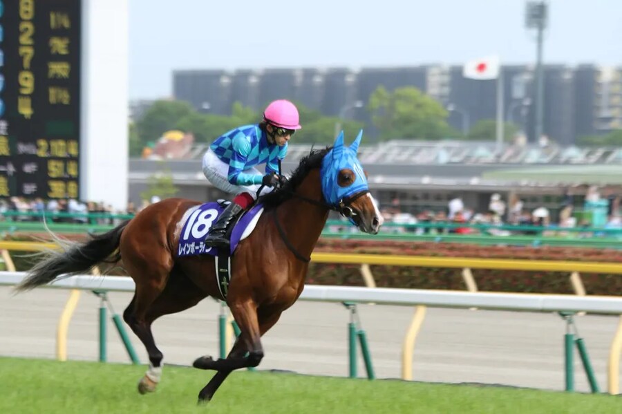 공식 말딸화 해줬으면 하는 경주마 TOP 30_18.png