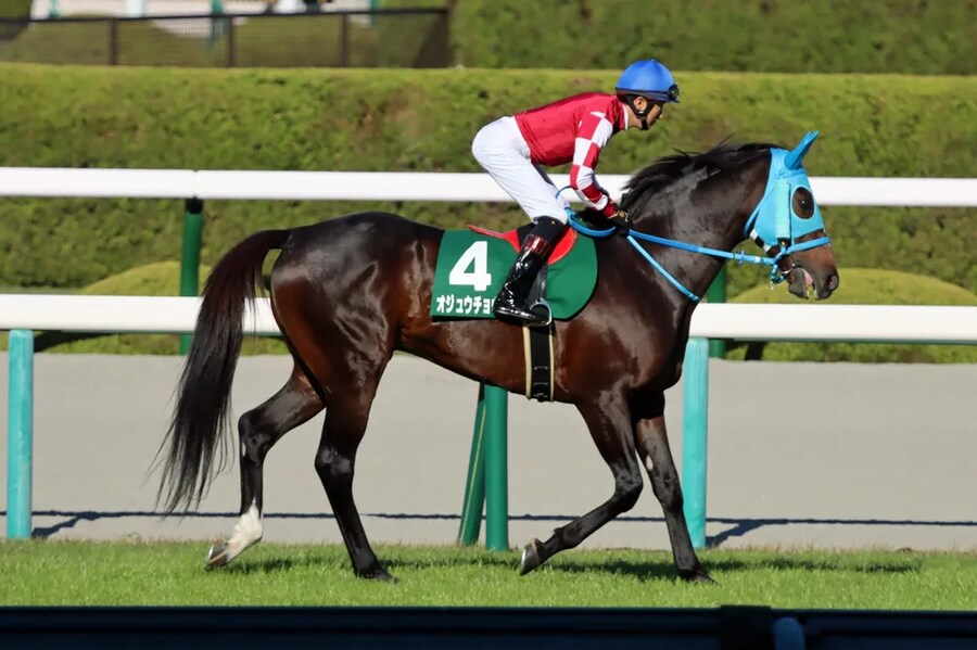 공식 말딸화 해줬으면 하는 경주마 TOP 30_21.png