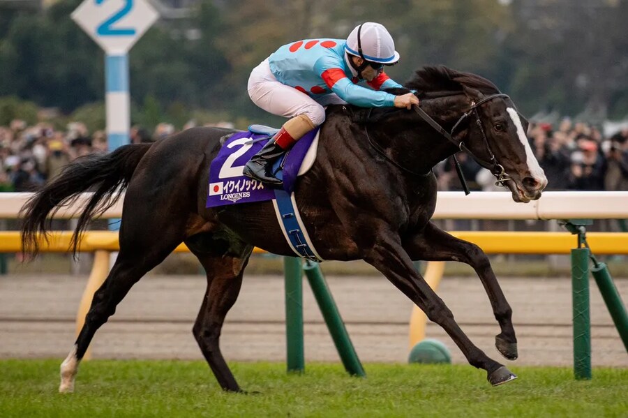 공식 말딸화 해줬으면 하는 경주마 TOP 30_26.png