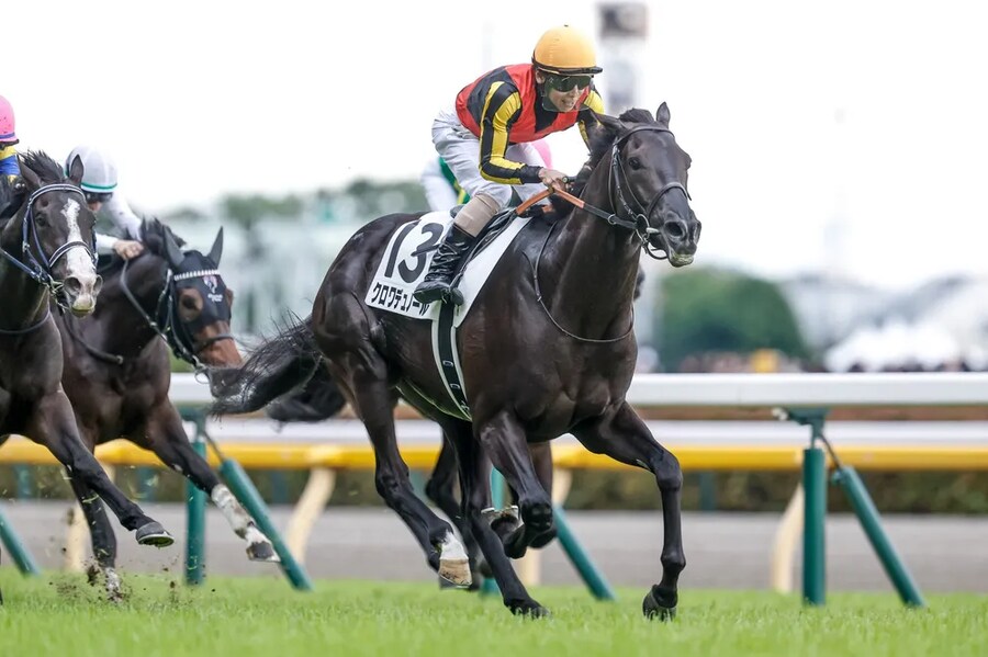 공식 말딸화 해줬으면 하는 경주마 TOP 30_27.png