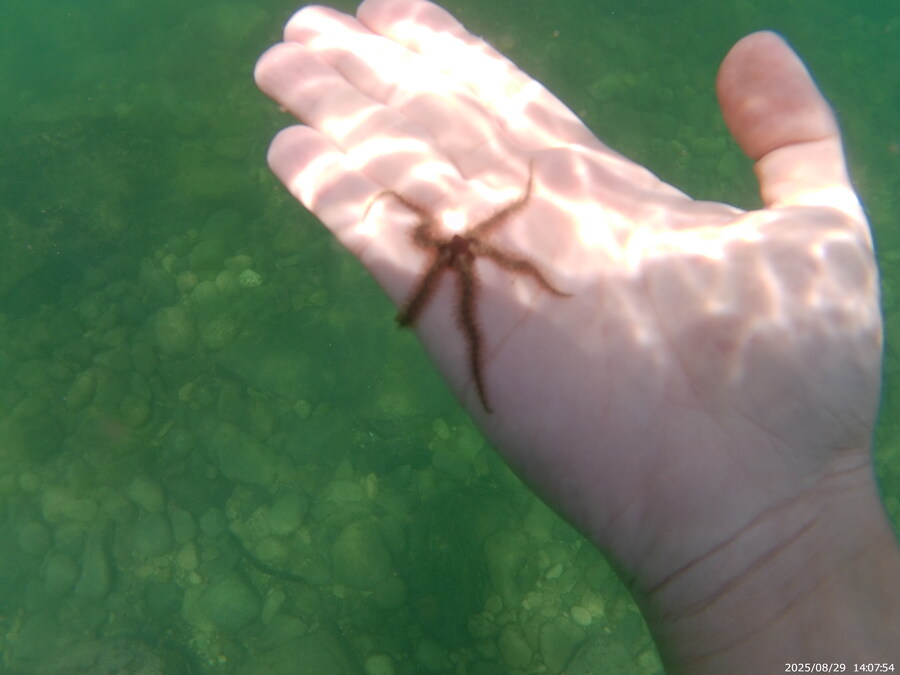 스압주의) 부산바다 스노클링 2탄_105.jpg