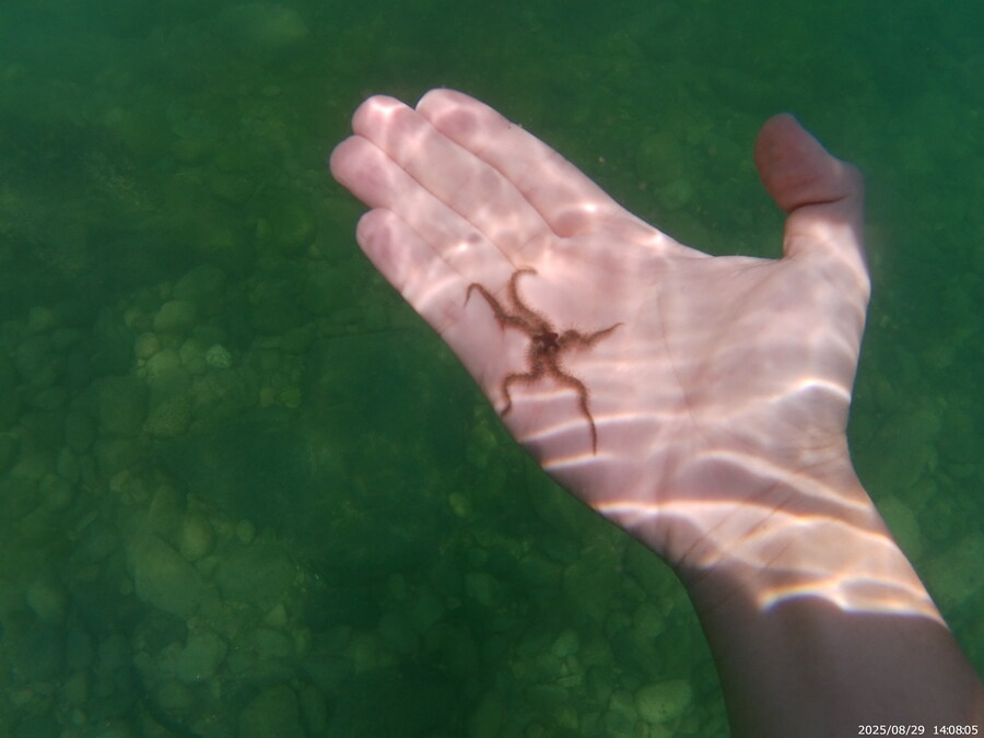 스압주의) 부산바다 스노클링 2탄_106.jpg