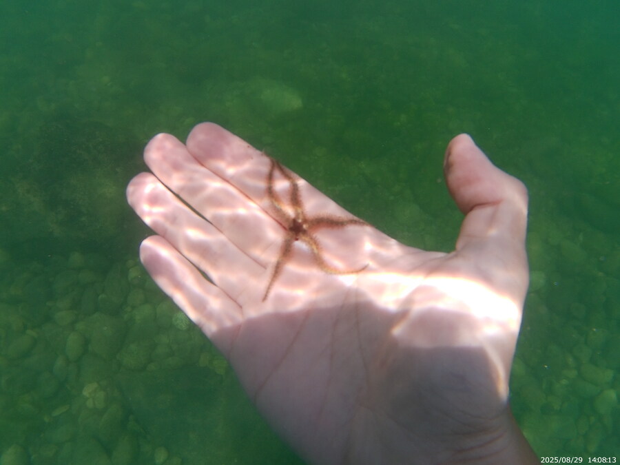 스압주의) 부산바다 스노클링 2탄_107.jpg