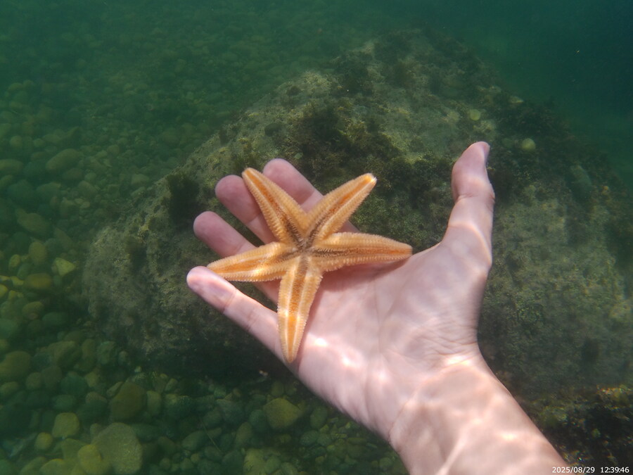 스압주의) 부산바다 스노클링 2탄_124.jpg