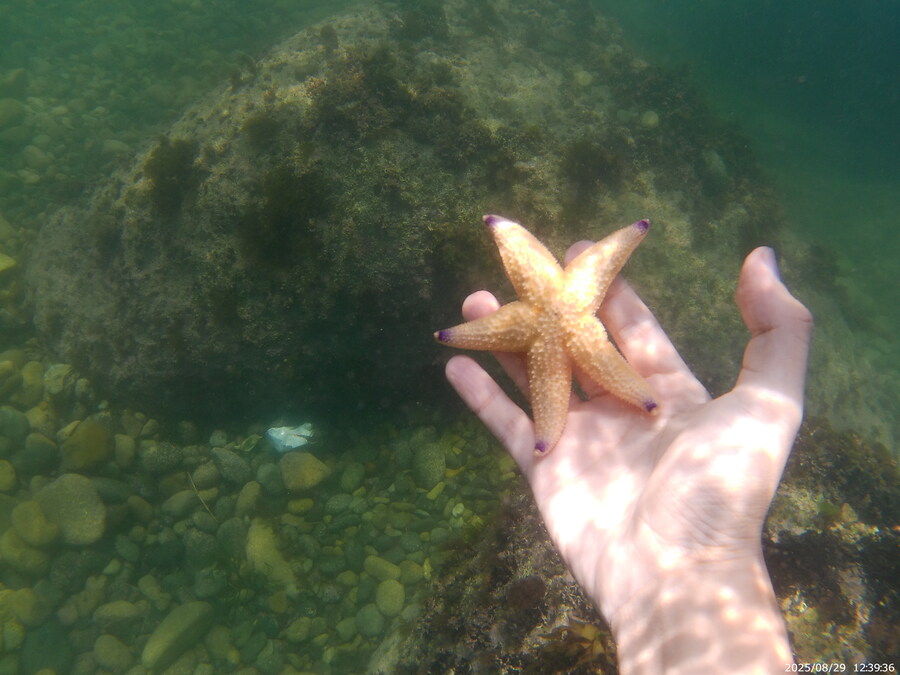 스압주의) 부산바다 스노클링 2탄_123.jpg