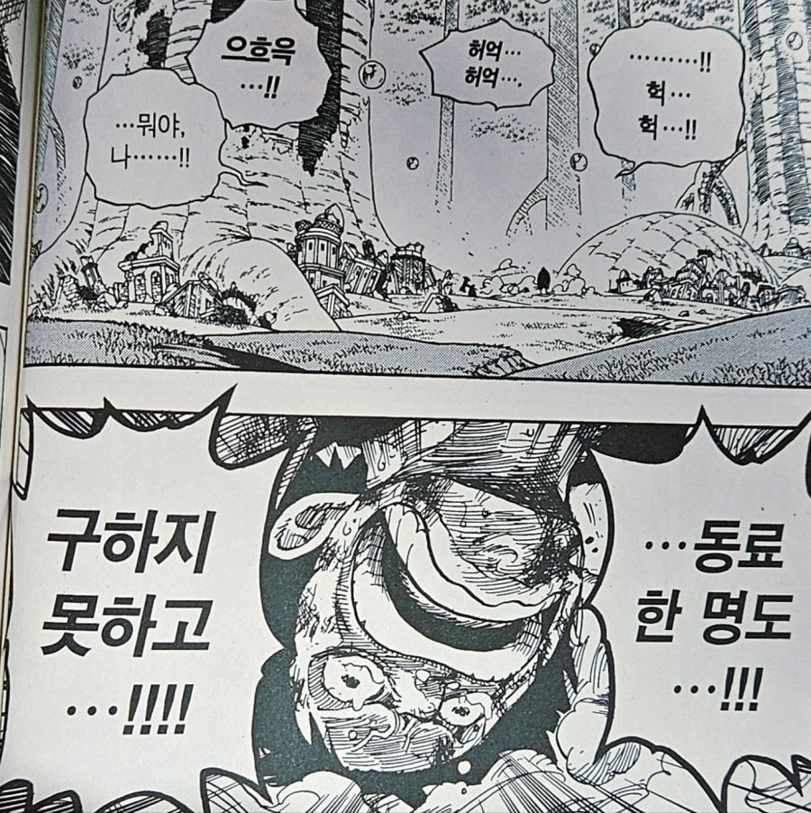원피스) 루피의 친구관과 리더관 이면의 두려움_42.jpg