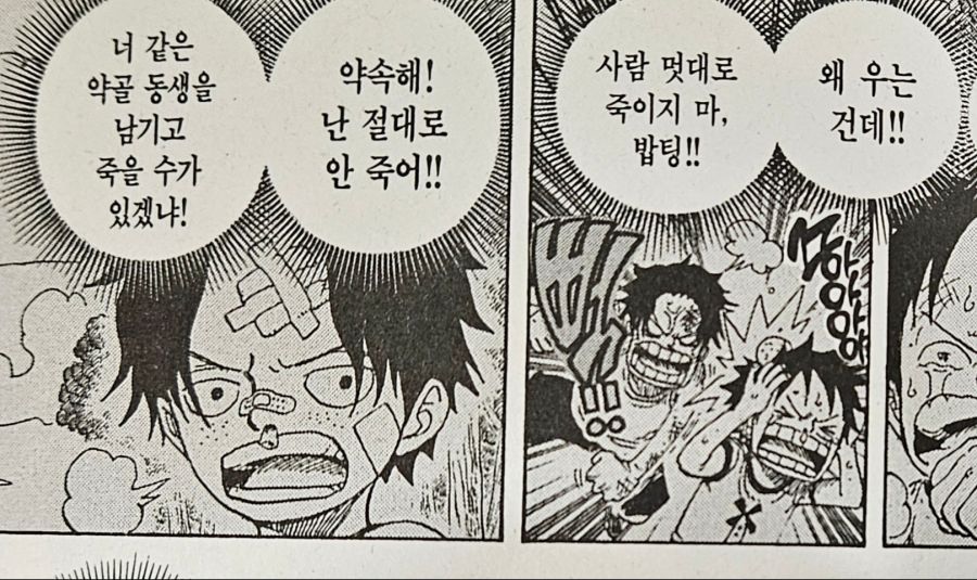 원피스) 루피의 친구관과 리더관 이면의 두려움_55.jpg