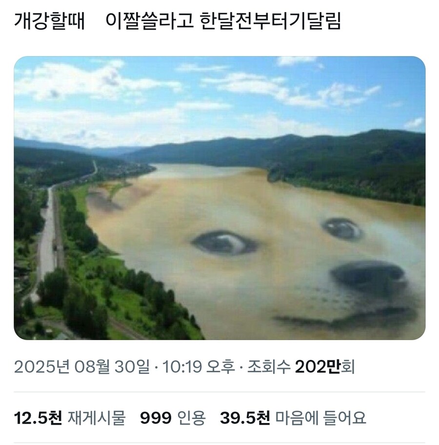 오늘은 아무도 대학생들을 이길 수 없다. 왜냐하면_1.jpg