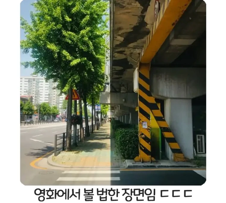 열두시 정각의 도봉구_1.webp