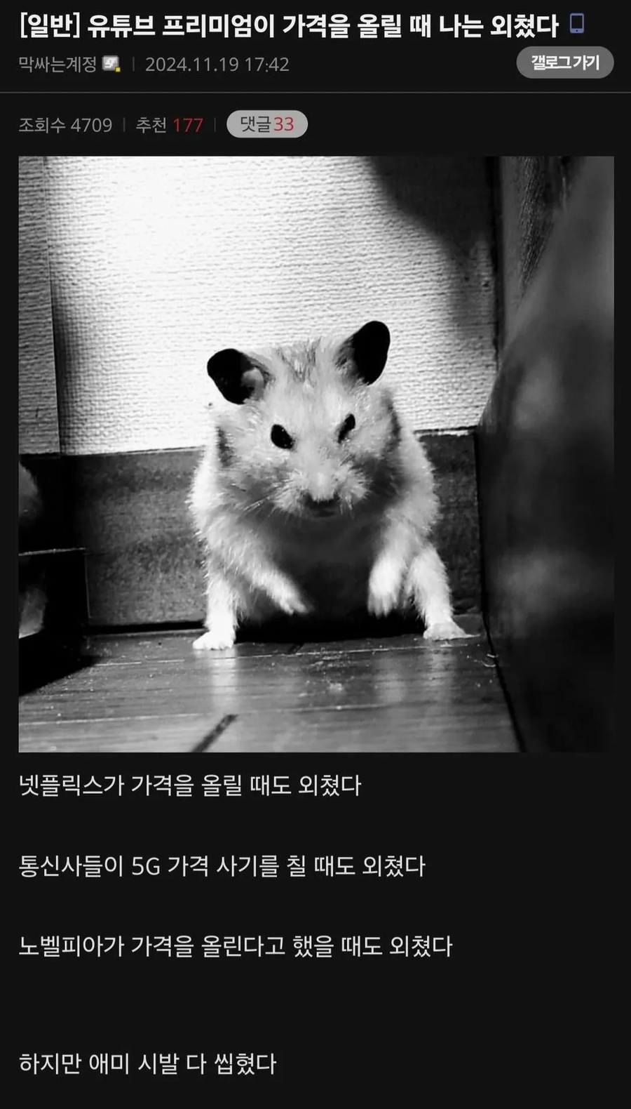 구독 요금제 가격 상승 특징