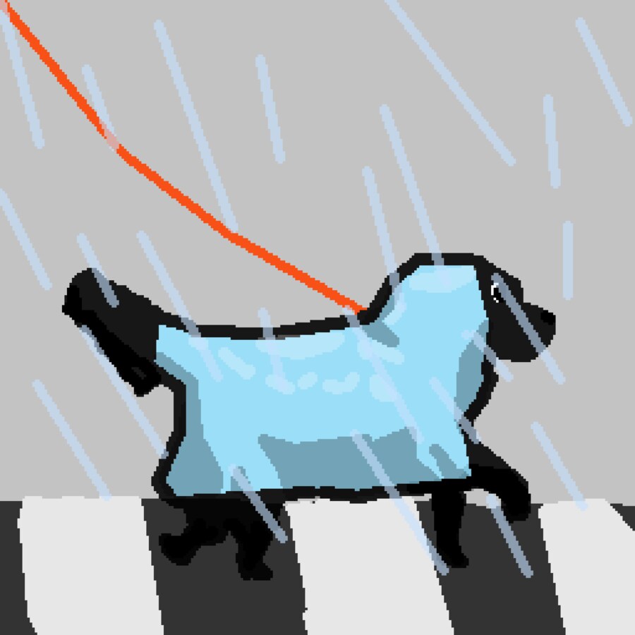 소나기를 맞으며 걷던 댕댕이가 귀여워_1.png