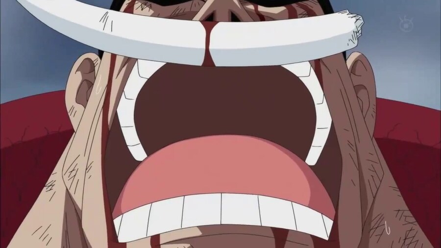 원피스 디시에 나타난 에이스_2.jpg