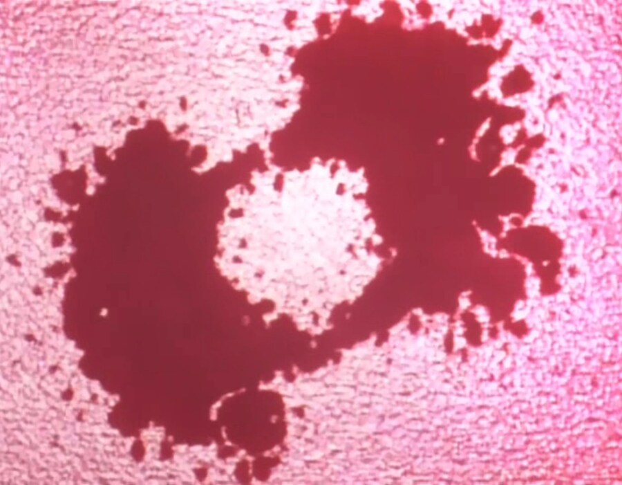 가오가이가)?? : 너 혼자서 뭘 할수 있겠냐?_12.jpg