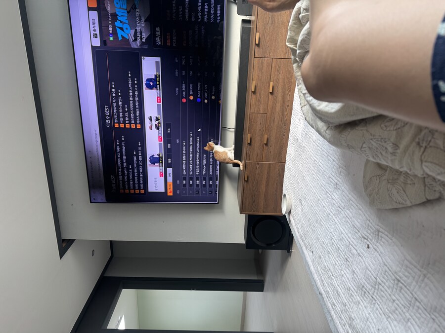 줍고보니 개냥이_26.jpg