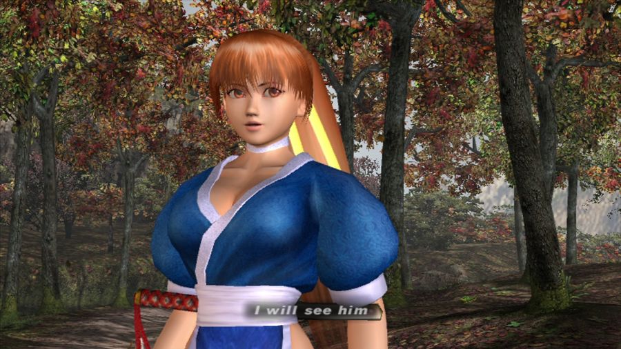 DEAD OR ALIVE 3_6.jpg