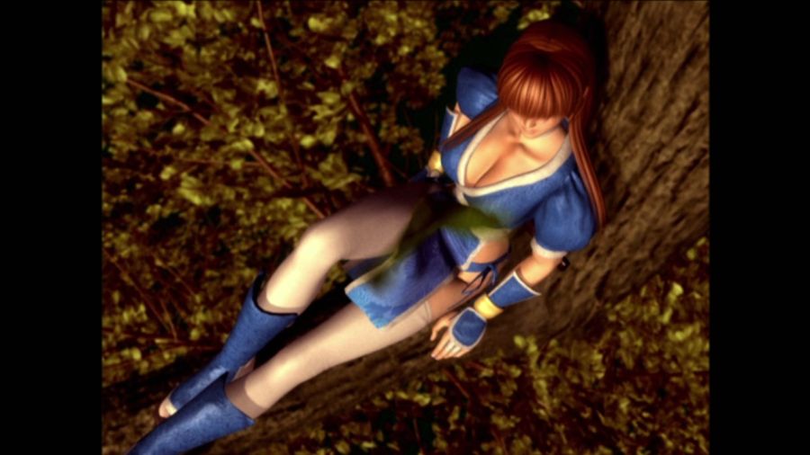 DEAD OR ALIVE 3_42.jpg