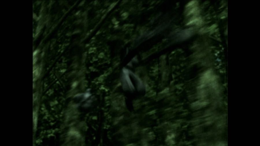 DEAD OR ALIVE 3_52.jpg