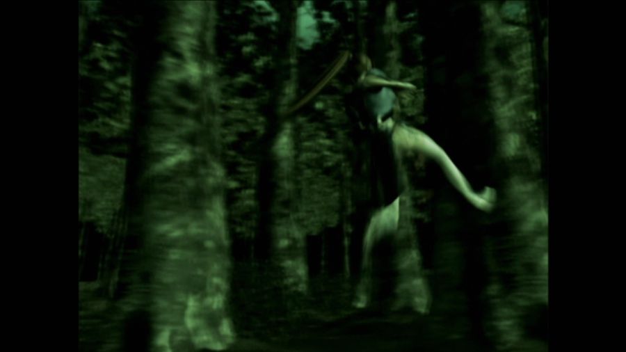 DEAD OR ALIVE 3_53.jpg