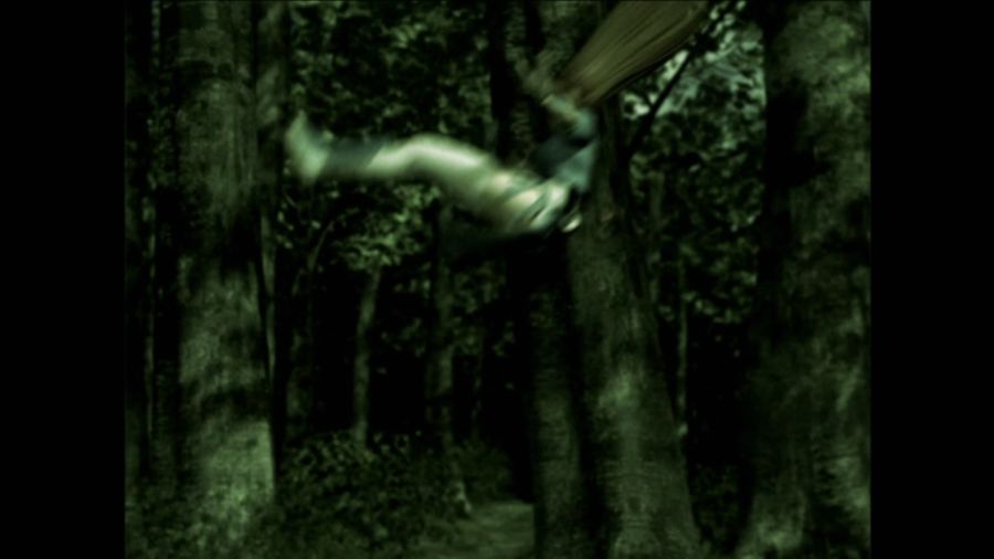 DEAD OR ALIVE 3_54.jpg