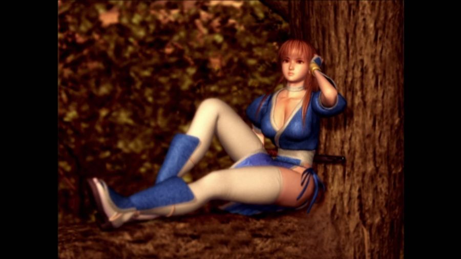 DEAD OR ALIVE 3_61.jpg