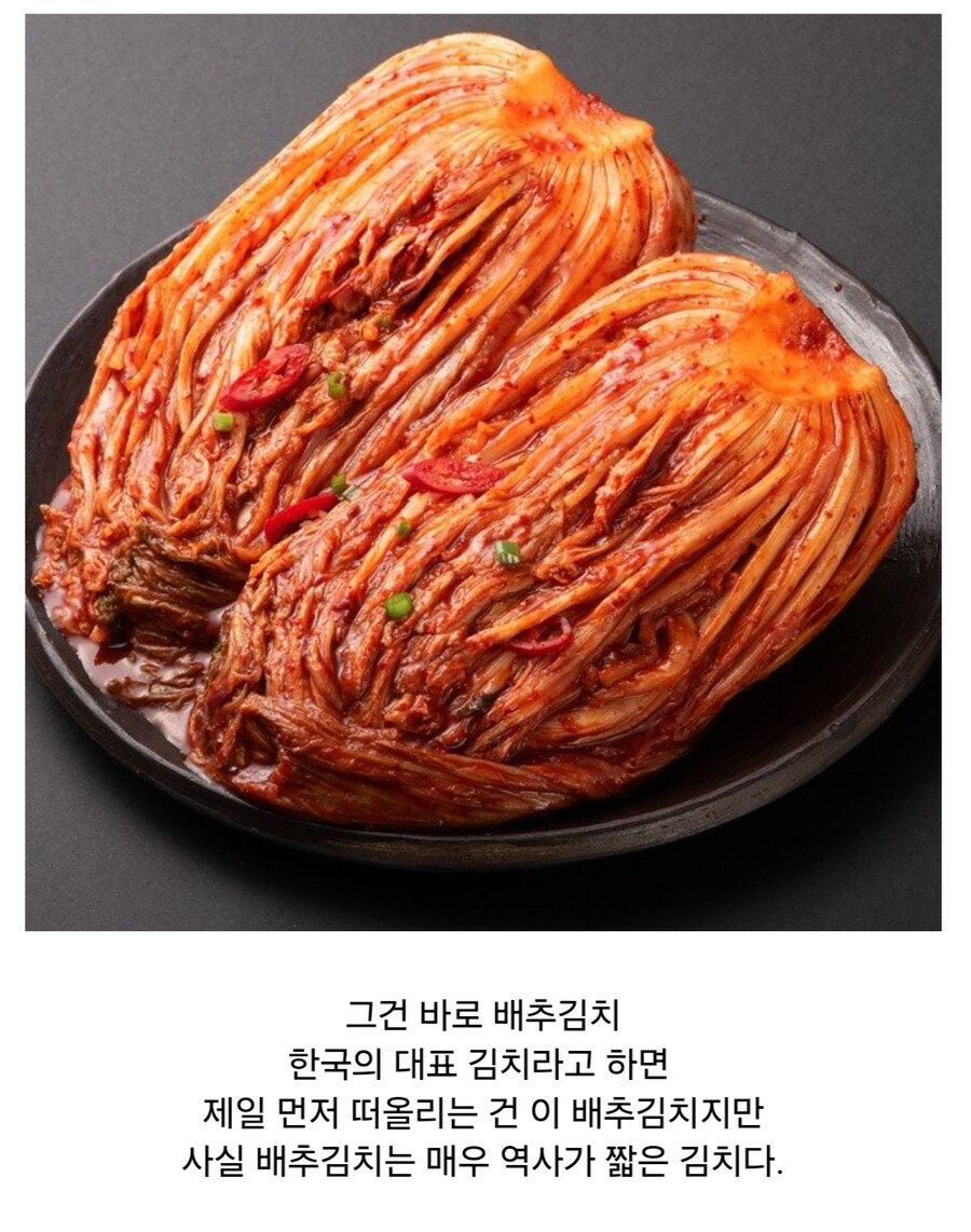 사실 역사가 100년 남짓밖에 안된 한국의 대표 음식_1.jpg