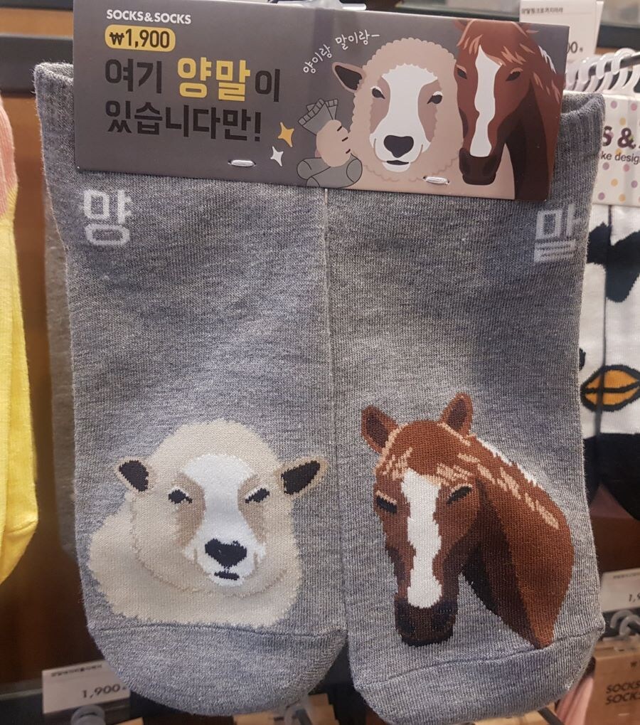 여기 양말이 있습니다.jpg_1.jpg