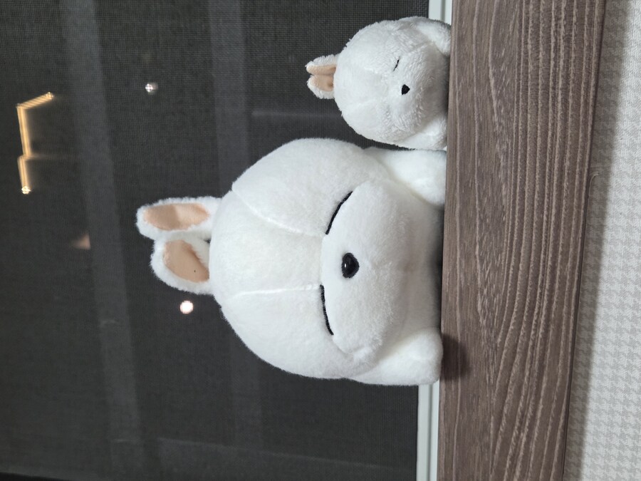 요즘에 가방에 인형 달고 다니는데_2.jpg