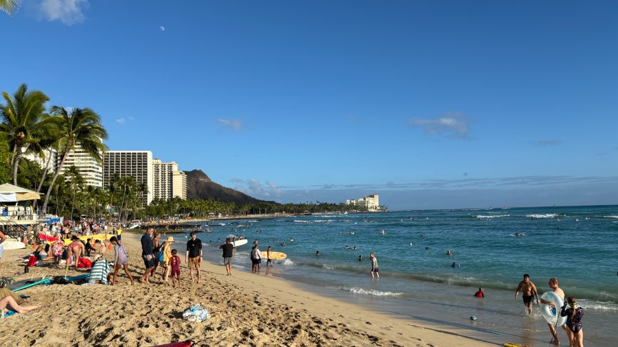 일본 회사 한국지점에서 10년만에 권고사직 당하고 하와이 다녀왔습니다.._2.jpeg