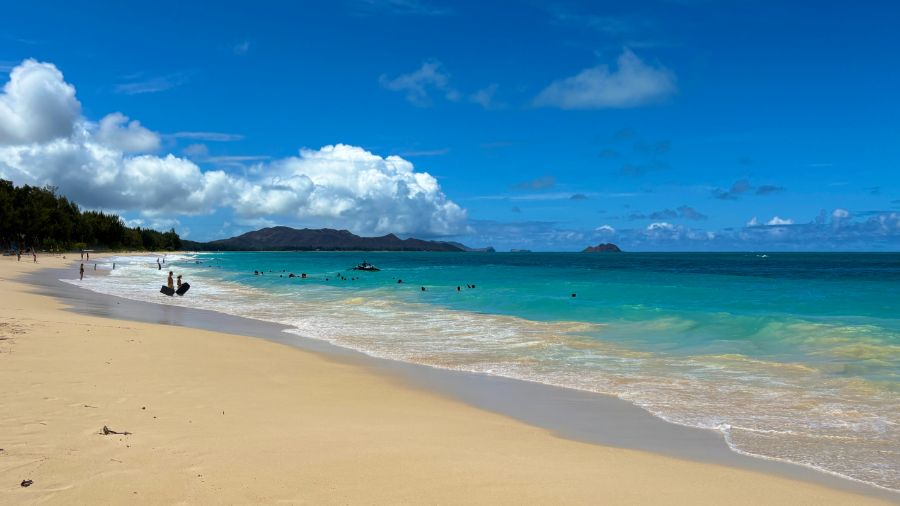 일본 회사 한국지점에서 10년만에 권고사직 당하고 하와이 다녀왔습니다.._21.jpeg