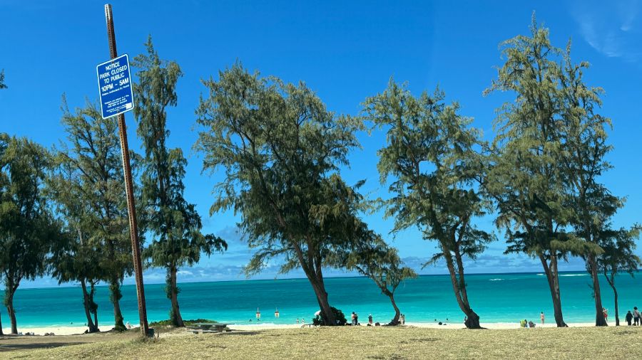 일본 회사 한국지점에서 10년만에 권고사직 당하고 하와이 다녀왔습니다.._24.jpeg