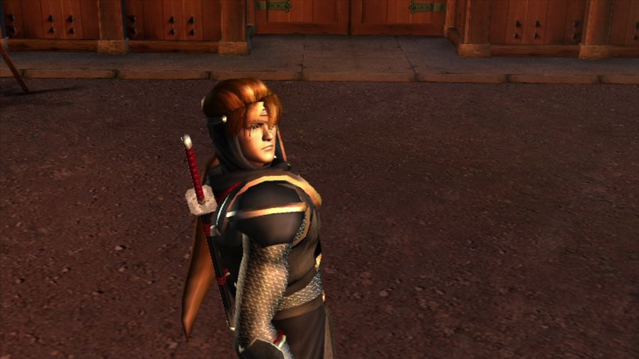 DEAD OR ALIVE 3_29.jpg
