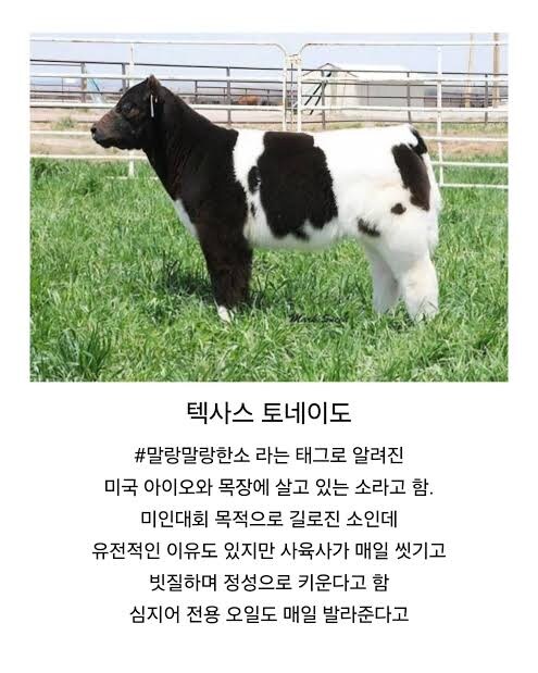 무시무시한 텍사스 토네이도 ㅎㄷㄷ_4.jpg
