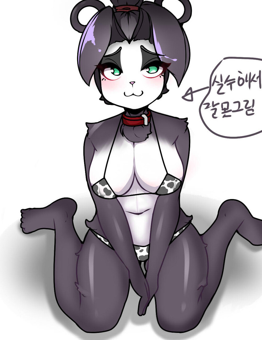 시공의 퍼리_2.jpg