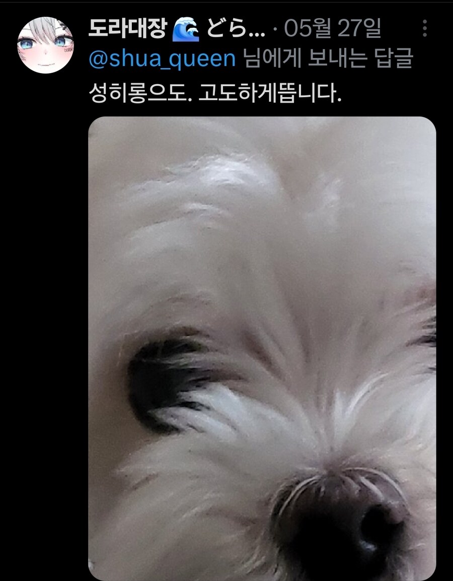 버튜버)무슨무슨법)본인 트위터가 노잼이라는 가오리_7.jpg