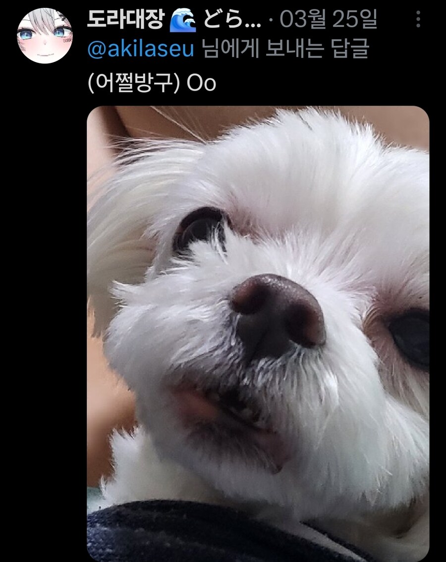 버튜버)무슨무슨법)본인 트위터가 노잼이라는 가오리_16.jpg