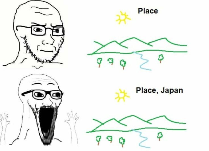 일뽕에 대한 인식은 한국만 ㅈ같애 하는게 아님_2.png