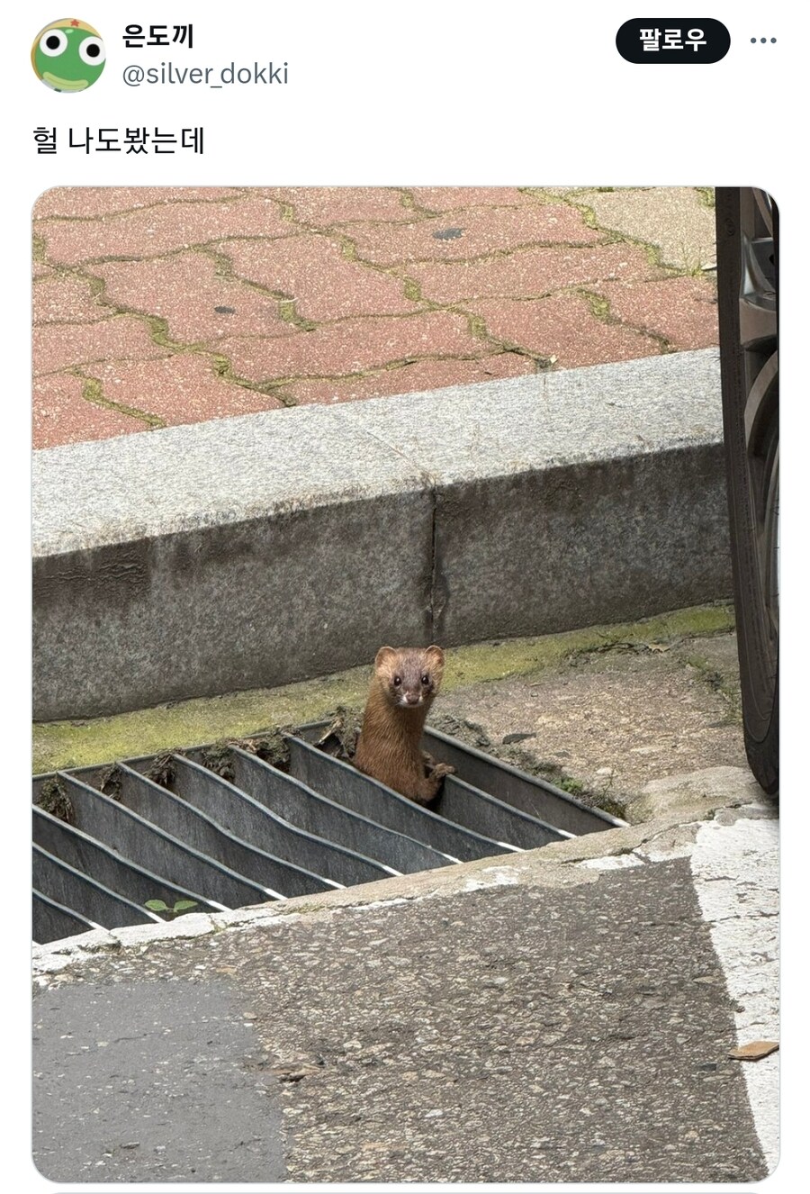 지하도에 사는 광대 아저씨 근황_3.jpg