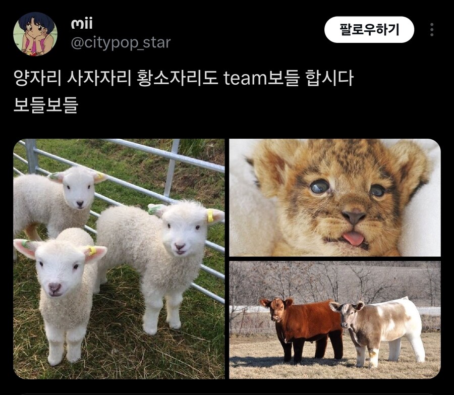 별자리들 파벌싸움_2.jpg