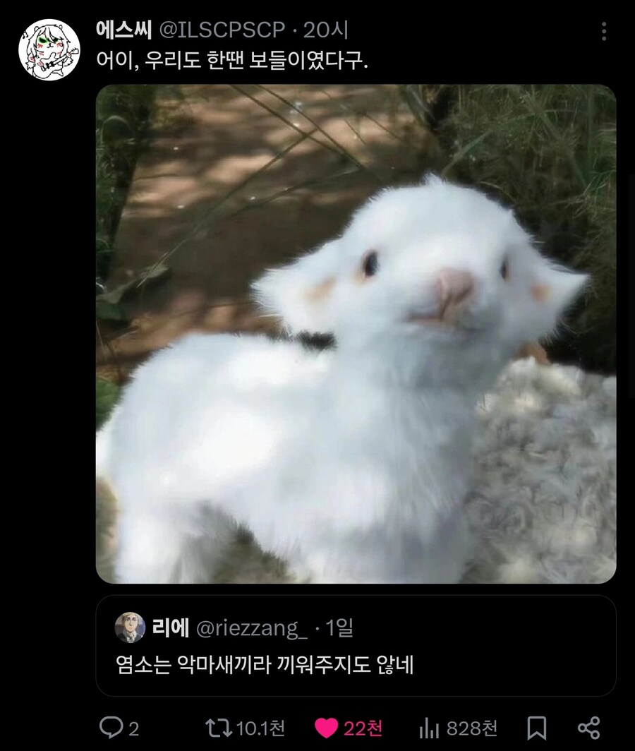 별자리들 파벌싸움_3.jpg