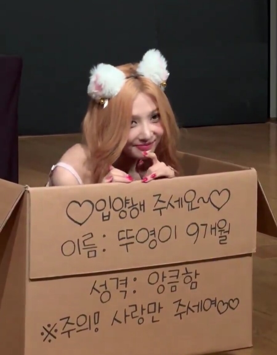 레드벨벳) 아이린 슬기 조이_1.jpg