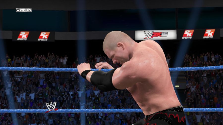WWE 2K15_1.jpg